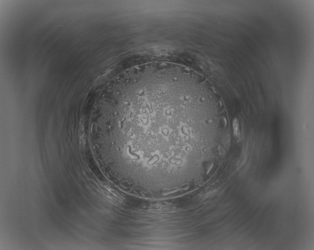 X0000060761203200511101131