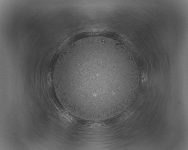 X0000060761204200511101131