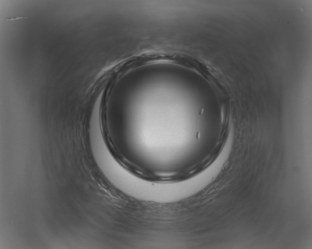 X0000060761206200511101131