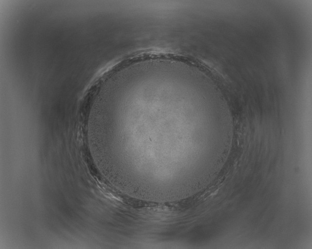 X0000060761207200511101131