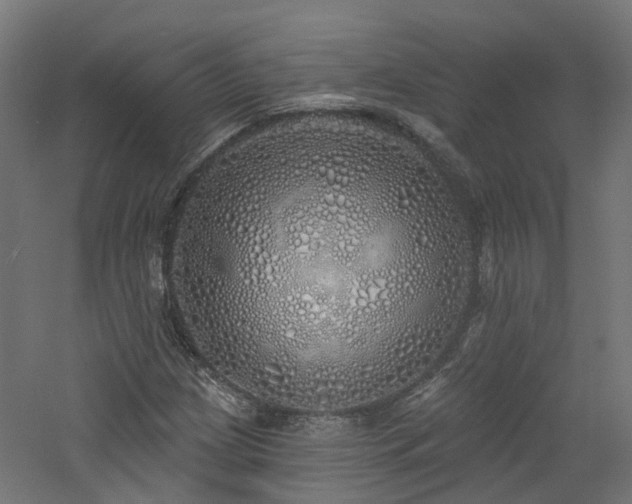 X0000060761209200511101131