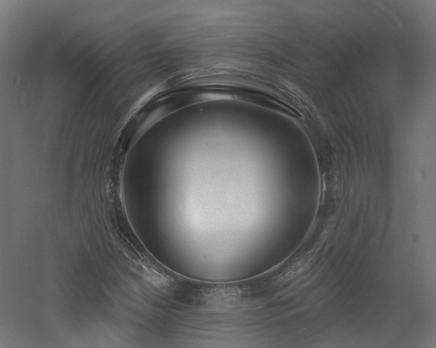 X0000060761210200511101131