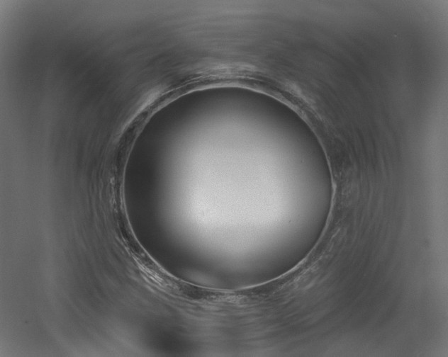 X0000060761211200511101131