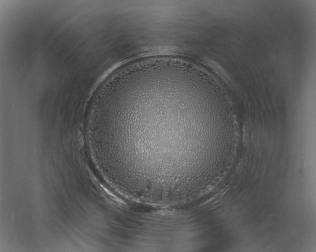X0000060761212200511101131