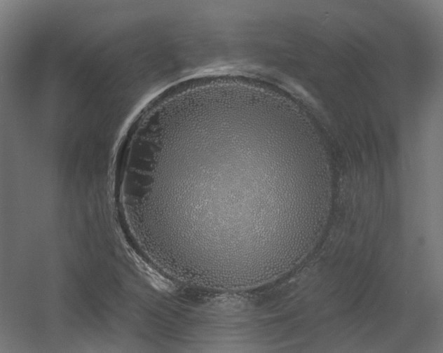X0000060761216200511101131