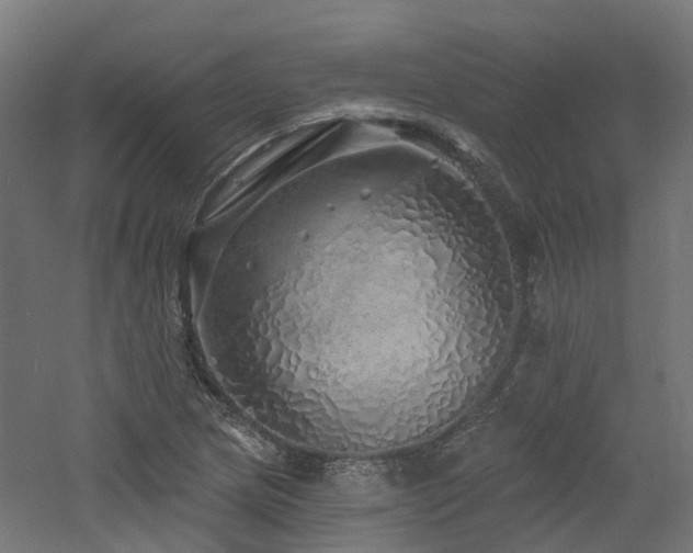 X0000060761217200511101131