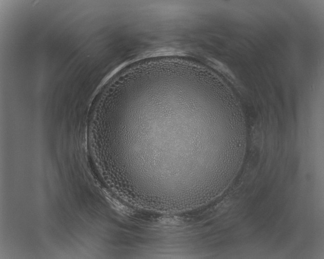 X0000060761220200511101131