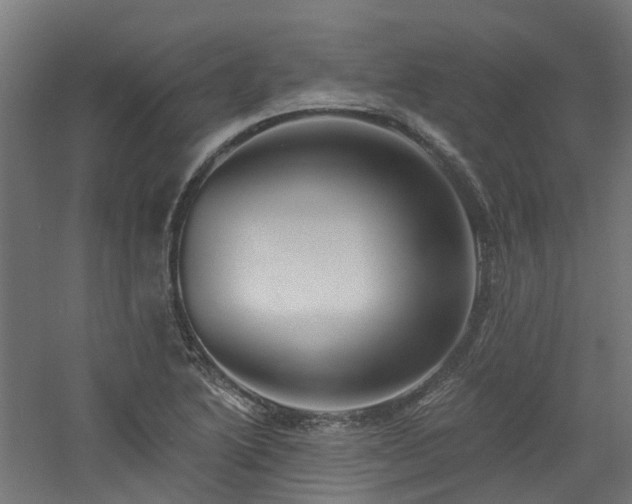 X0000060761222200511101131