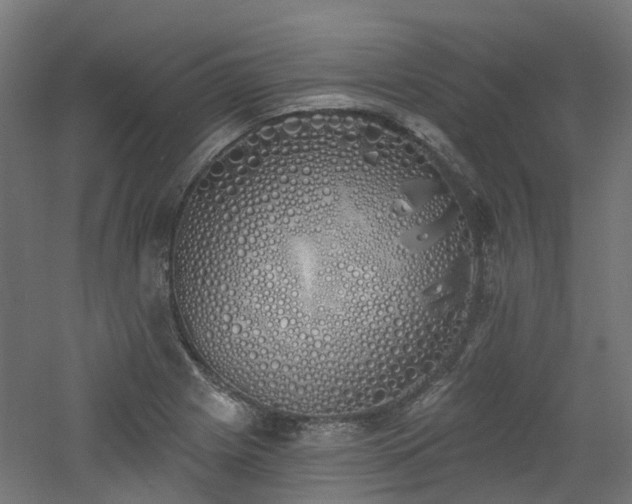 X0000060761225200511101131
