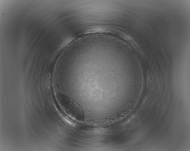 X0000060761233200511101131