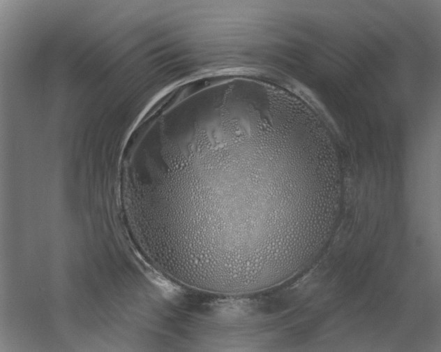 X0000060761236200511101131