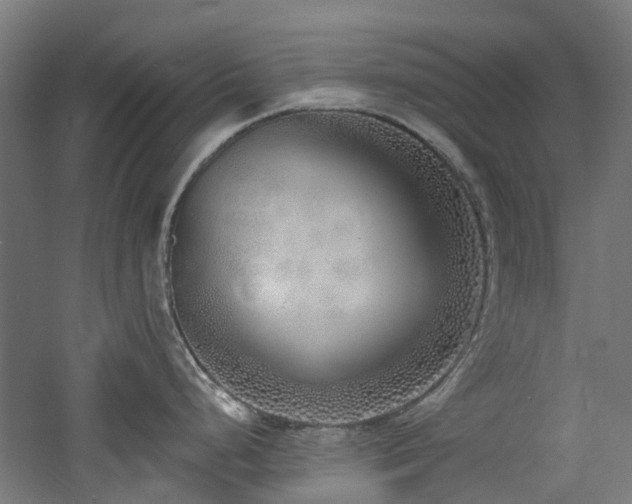 X0000060761248200511101131