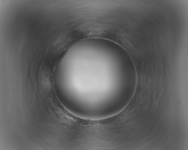 X0000060761250200511101131