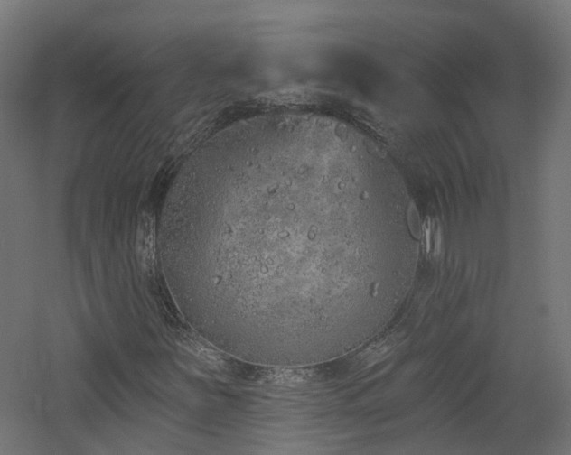 X0000060761251200511101131