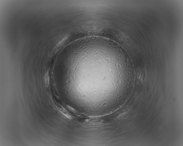 X0000060761252200511101131