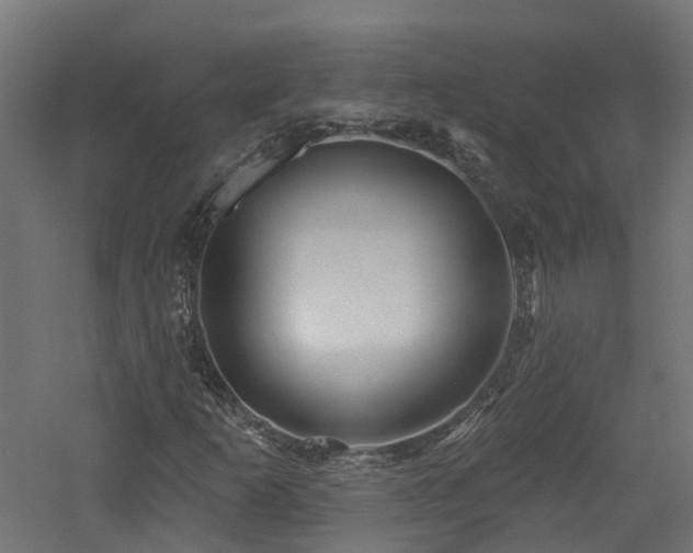 X0000060761253200511101131