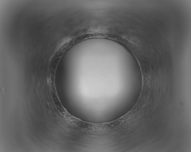 X0000060761254200511101131