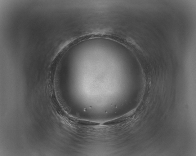 X0000060761256200511101130