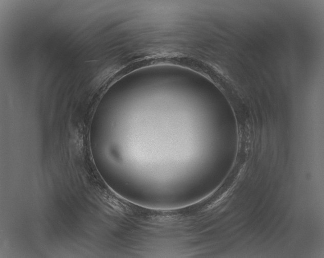X0000060761257200511101130