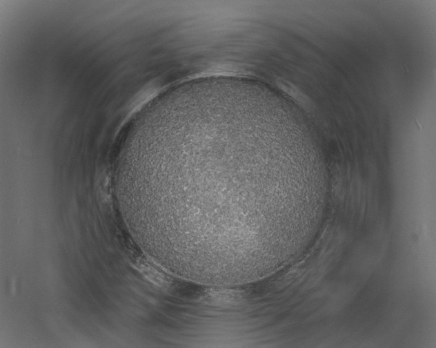 X0000060761258200511101130