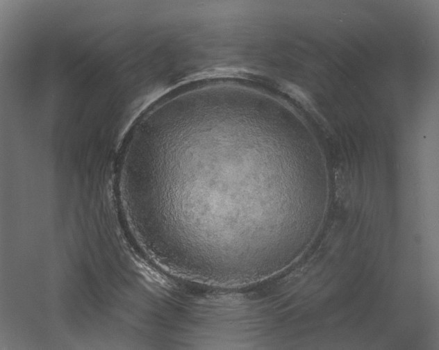 X0000060761260200511101130