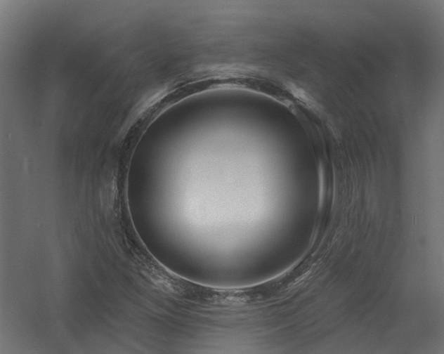 X0000060761261200511101130