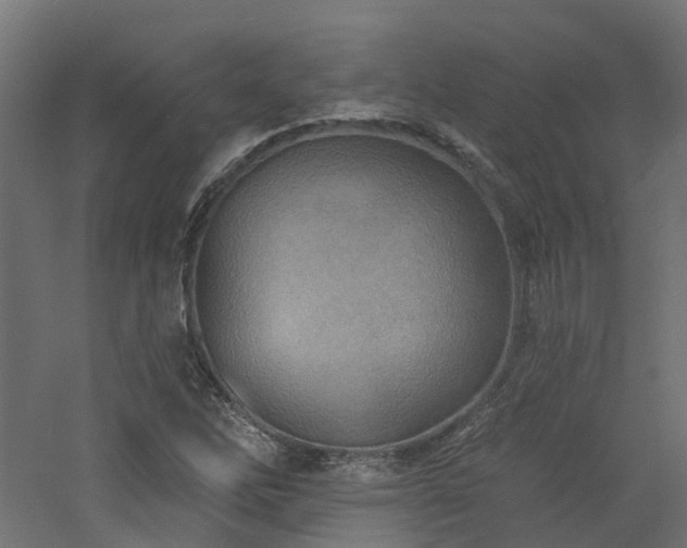 X0000060761262200511101130