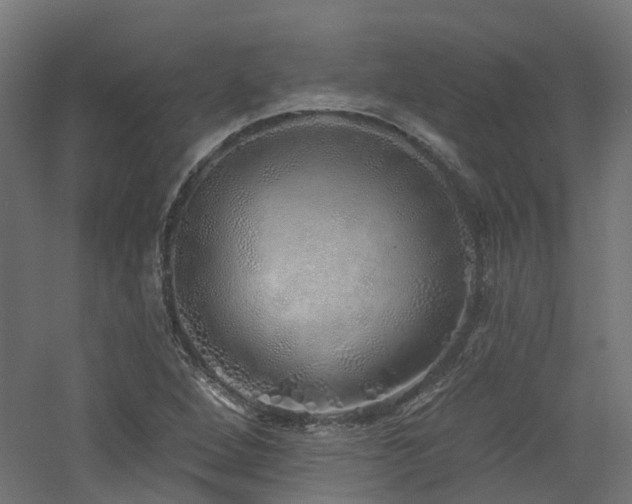 X0000060761264200511101130