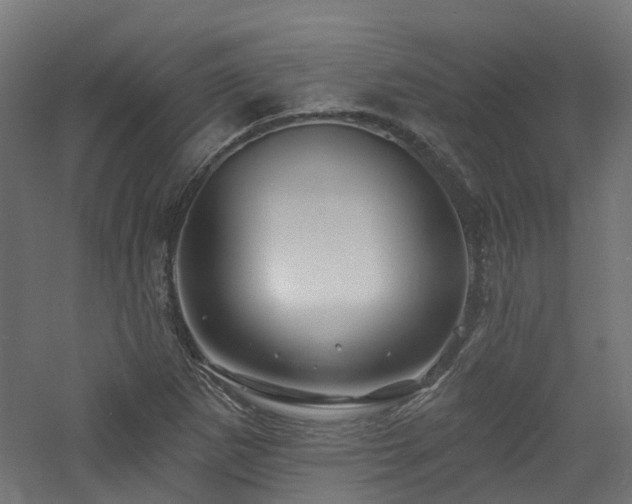 X0000060761265200511101130