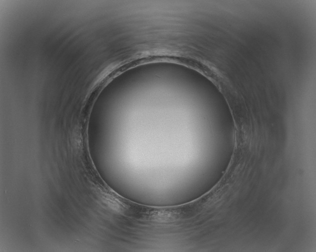 X0000060761266200511101130