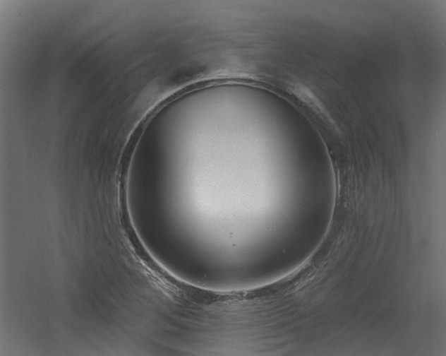 X0000060761268200511101130
