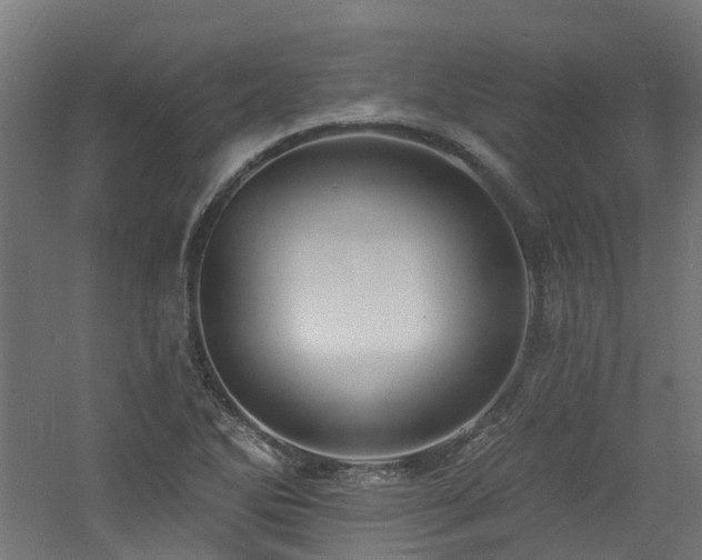 X0000060761270200511101130