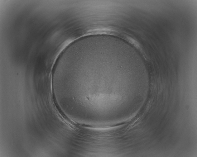 X0000060761275200511101130