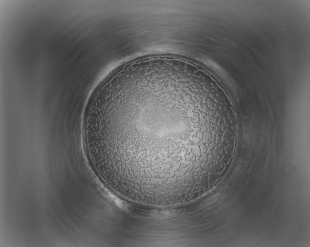 X0000060761286200511101130