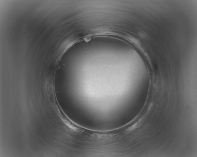 X0000060761289200511101130