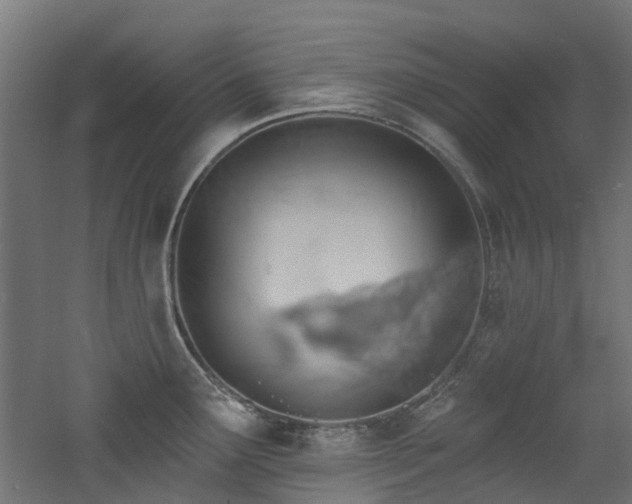 X0000060761291200511101130
