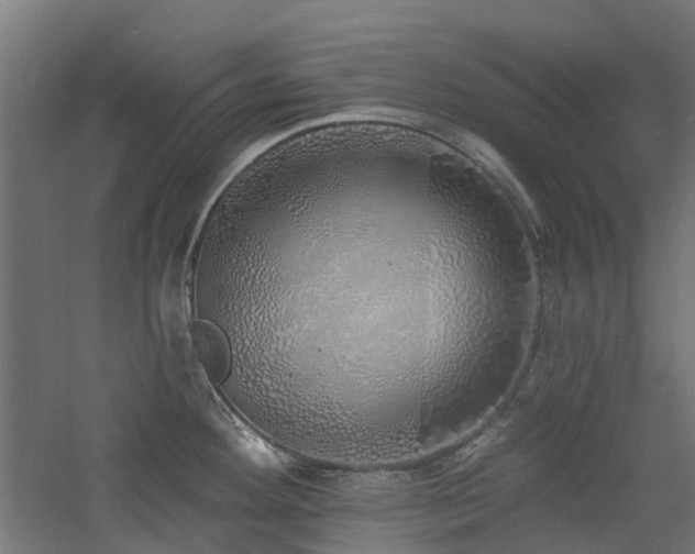 X0000060761292200511101130