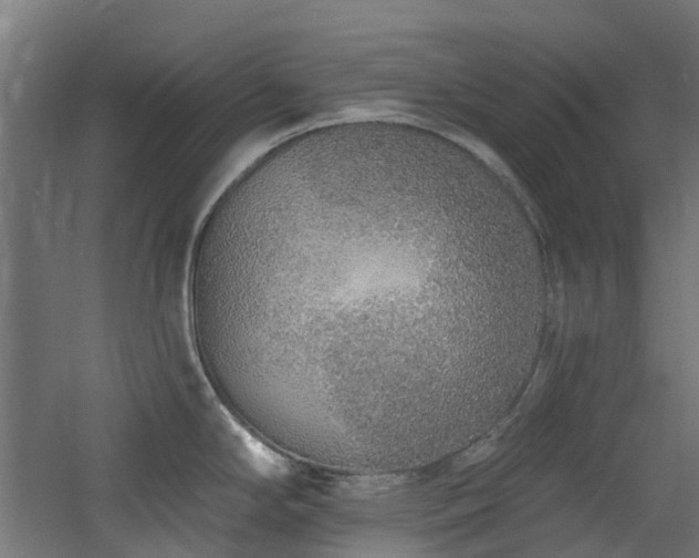 X0000060761294200511101130