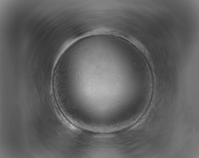 X0000060761296200511101130