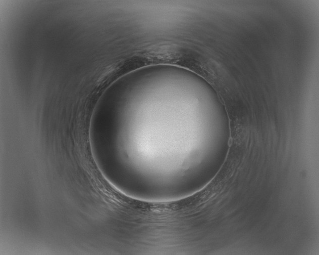 X0000060761297200511101129