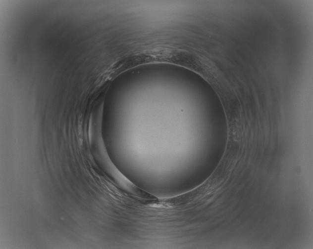 X0000060761298200511101129