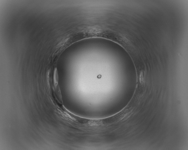 X0000060761299200511101129