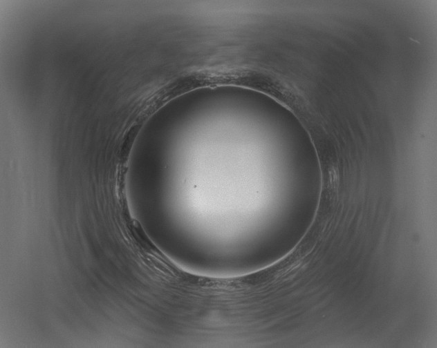 X0000060761300200511101129