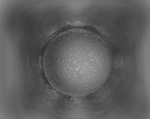 X0000060761301200511101129