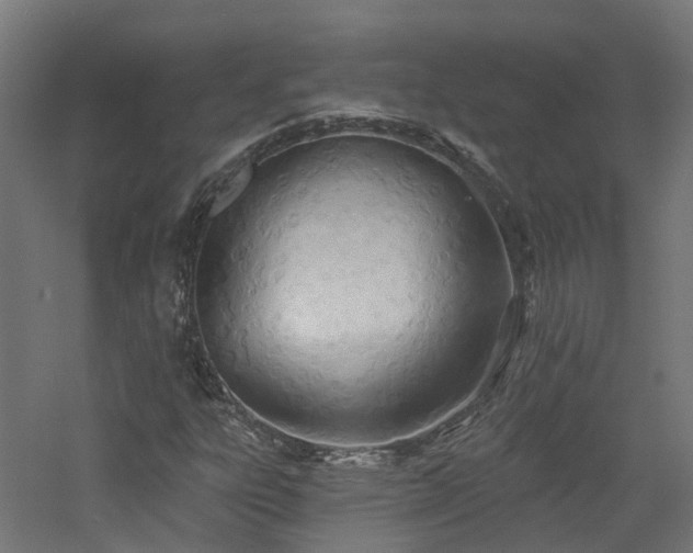 X0000060761303200511101129