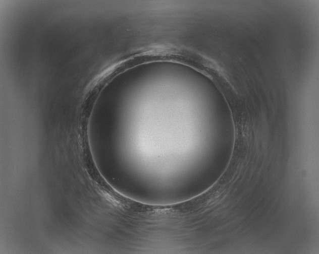 X0000060761304200511101129