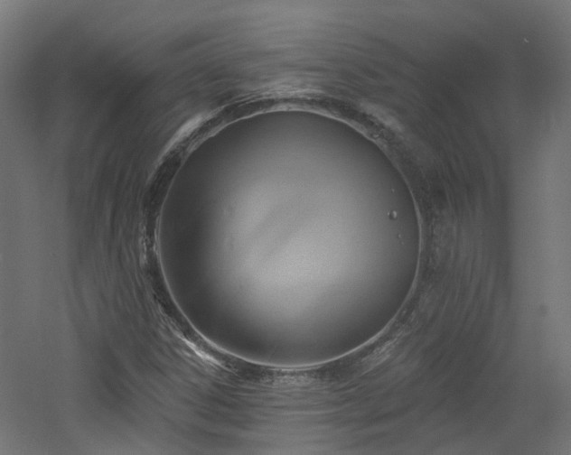 X0000060761306200511101129