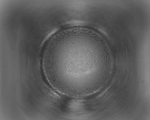 X0000060761309200511101129