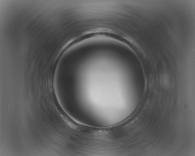 X0000060761321200511101129