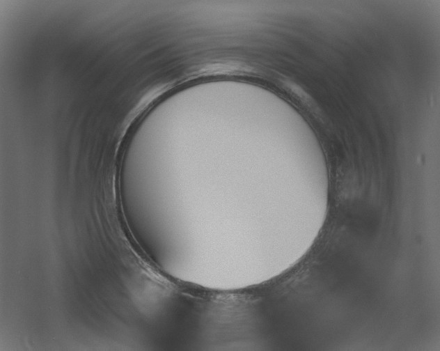 X0000060761322200511101129